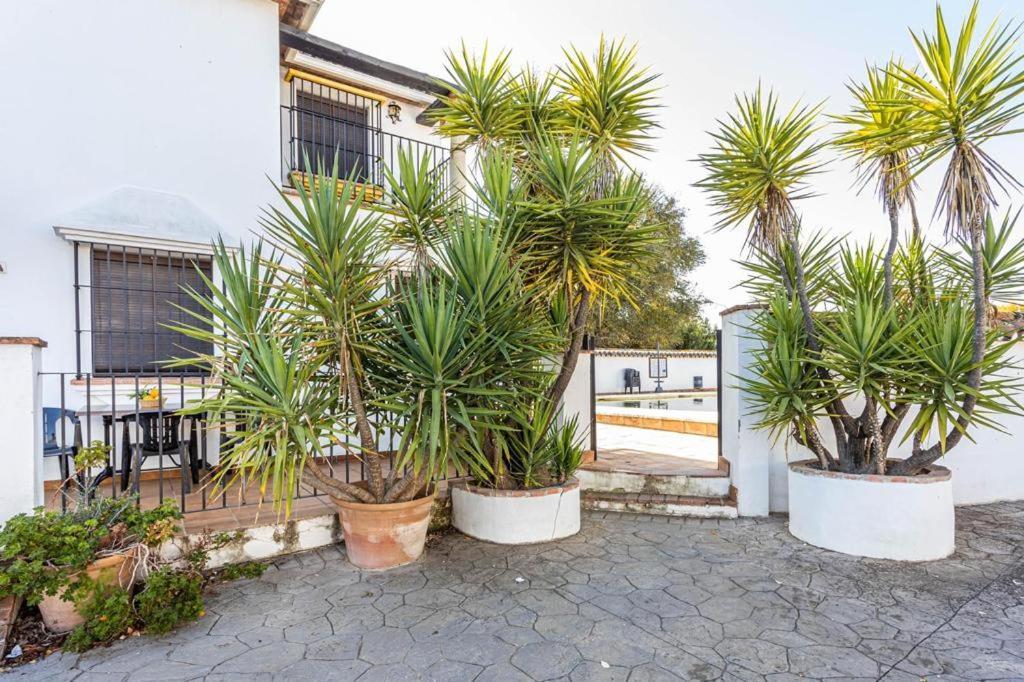Complejo turistico El Álamo Hotel Hornachuelos Exterior foto